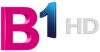 B1 logo